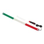 BANDIERA TRICOLORE 42 LED - 24V BANDIERA TRICOLORE 42 LED - 24V